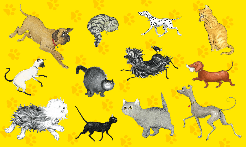 Twelve cats and dogs from the Hairy Maclary books, arranged on a bright yellow pawprint background