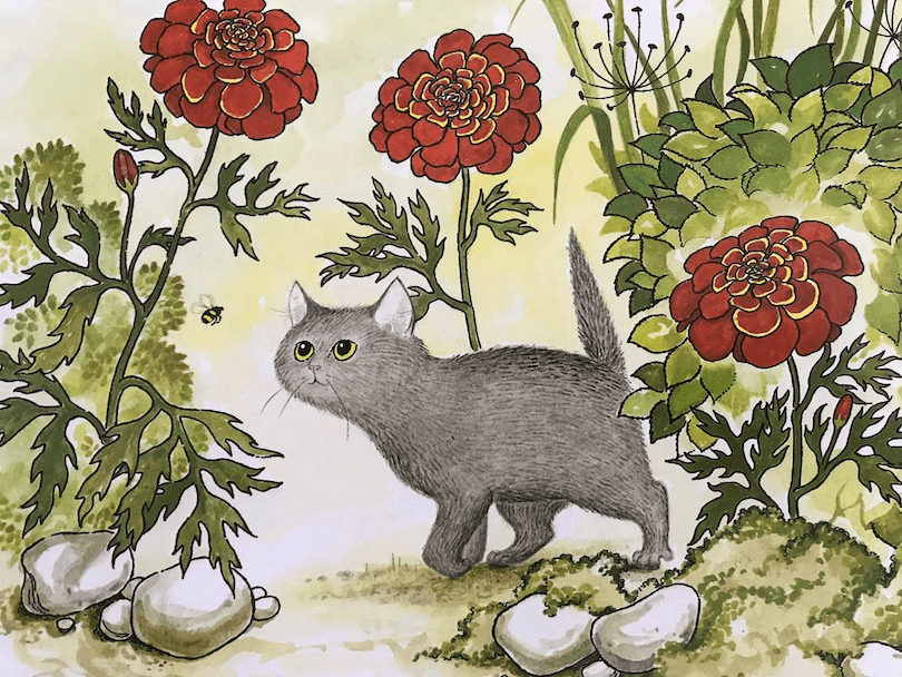 Illustration: small grey cat following a bee in garden