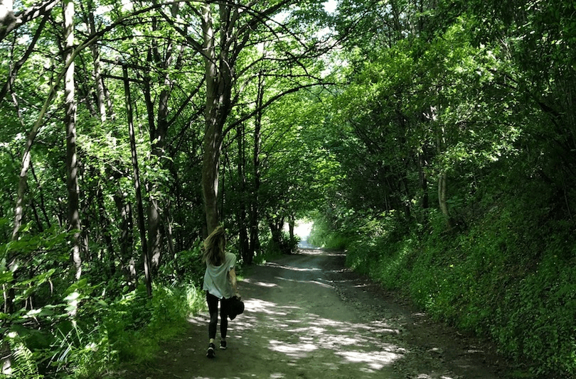 Meg Mason walking down path beneath tunnel of trees