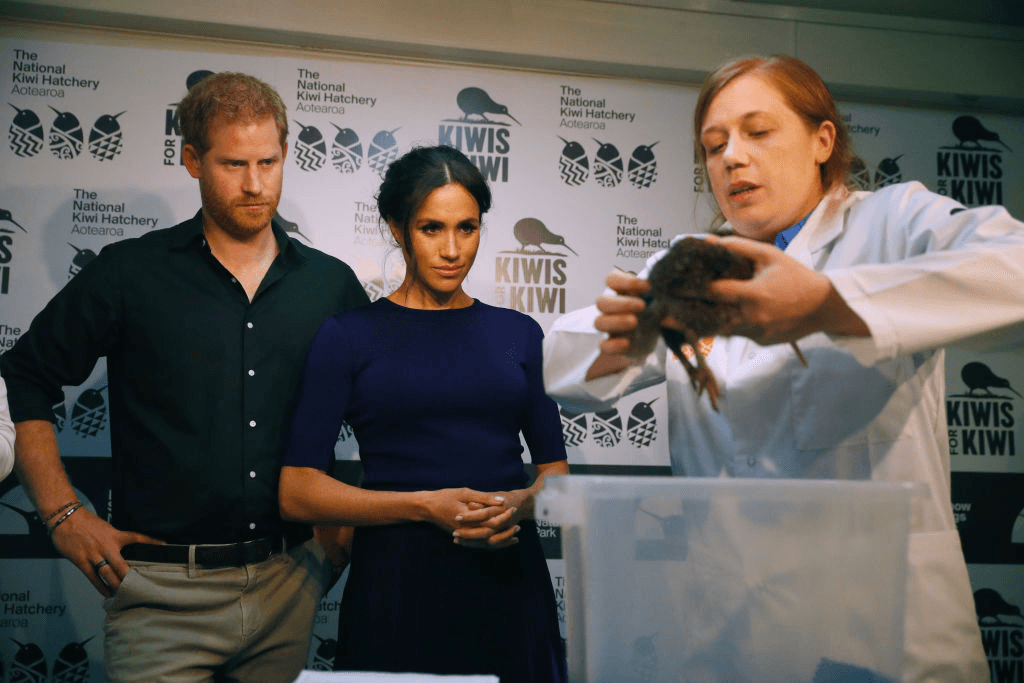 Harry and Meghan meet an actual kiwi in 2018.  (Photo by Pool/Samir Hussein/WireImage) 
