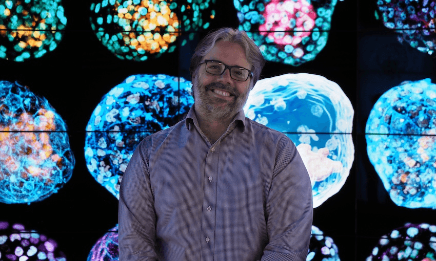 Lead researcher Jose Polo in front of magnified images of iBlastoids (Photo: Monash University/supplied) 
