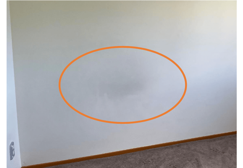 A barely visible black smudge in Stewart's old flat