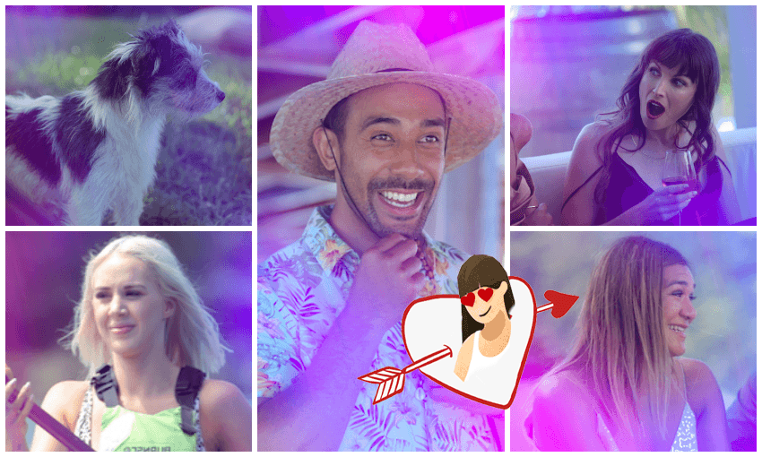 How many of these girls (and one dog) are going to win the hearts of Moses? At least some of them are going home, you guys.