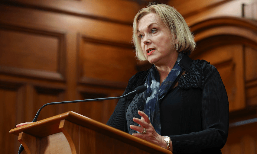 National Party leader Judith Collins (Photo: Hagen Hopkins/Getty Images) 
