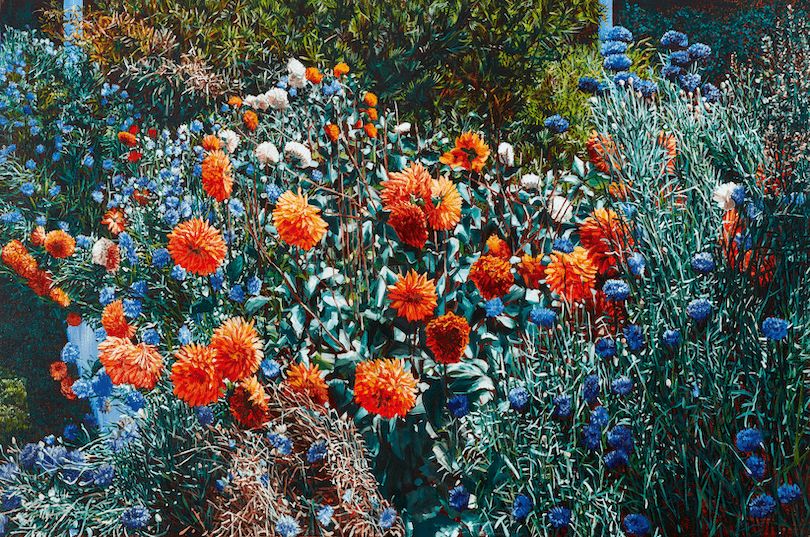 A painting of bright orange dahlias bending under their own weight, plus cornflowers. 