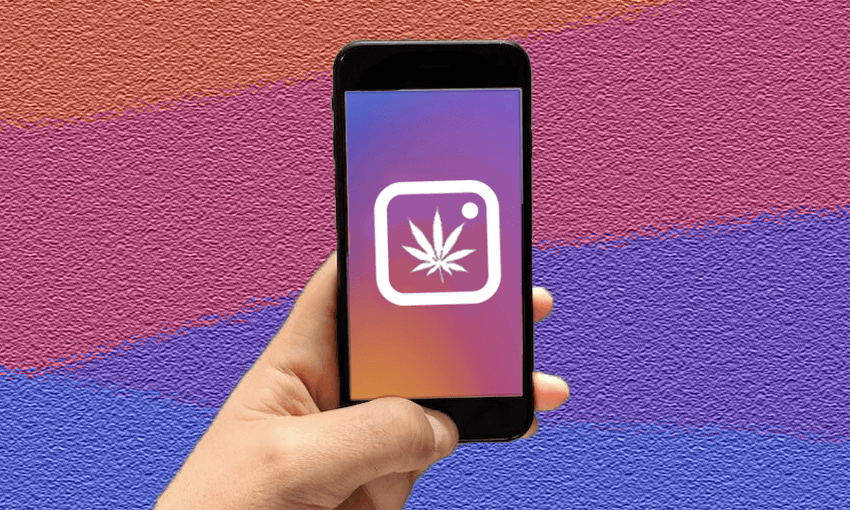 Image: Alice Webb-Liddall/The Spinoff 
