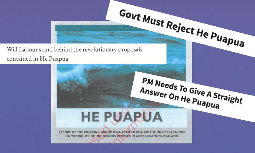 He Puapua: The Indigenous peoples report that caused a NZ political ruckus