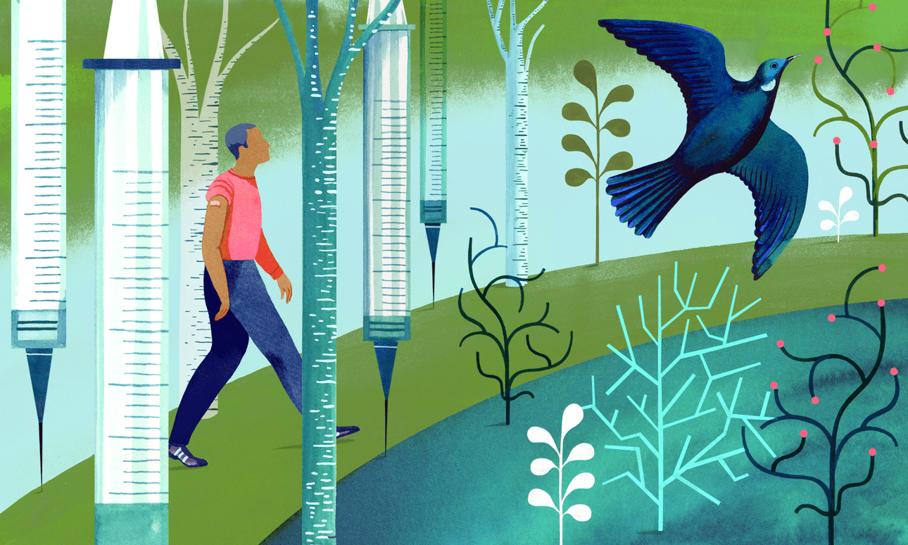 Sarah Wilkins for The Spinoff. 
