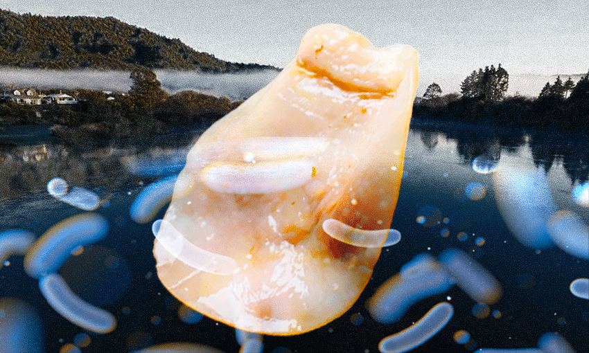 A truly disgusting image created by Tina Tiller