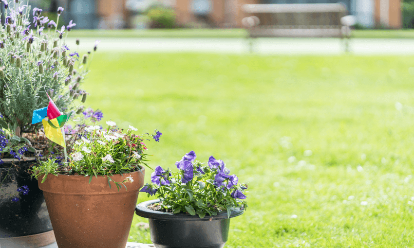 ‘Retirement village legislation is at risk of becoming outdated and unfit for purpose,’ a Commission for Financial Capability report has found. Photo: Getty 
