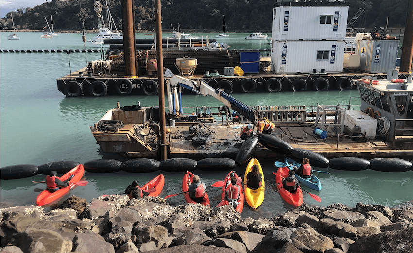 Protesters at the site of the planned marina. (Photo: Protect Pūtiki.) 
