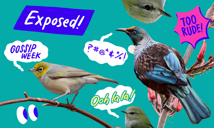 Exclusive: We found out what nature is gossiping about