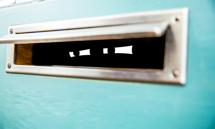 Eyes in a letterbox