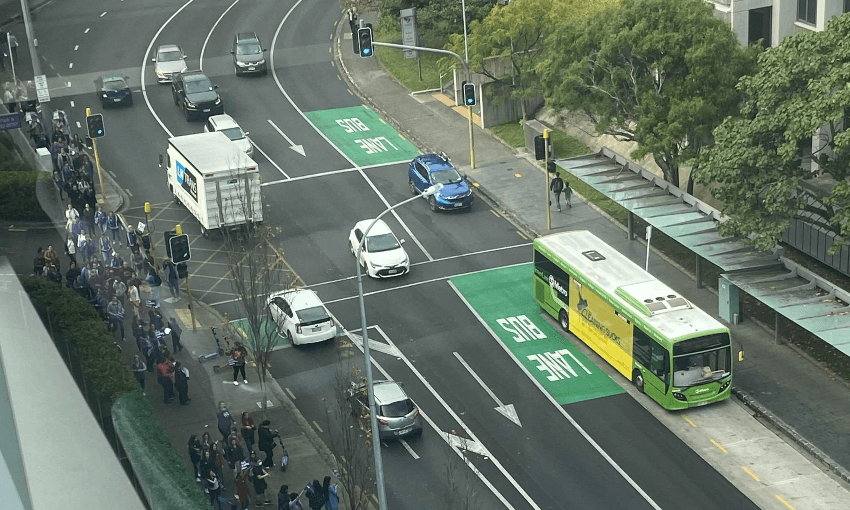Nurses walk off the job at Auckland Hospital