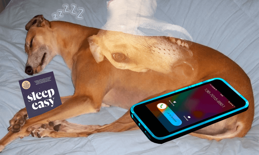 Sleeping greyhound cradling a book called Sleep Easy, and a big glowing phone.