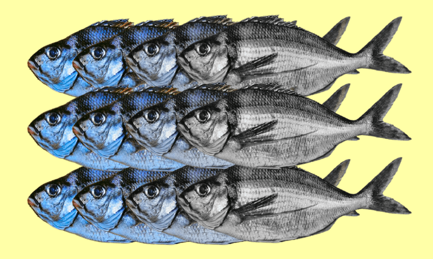 Image: Leonie Hayden 
