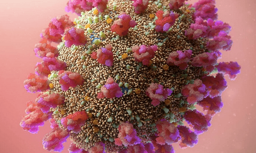 A visualisation based on a structural analysis of the SARS- CoV-2 virus (image: ISO.FORM LLC/ CC-BY-4.0)