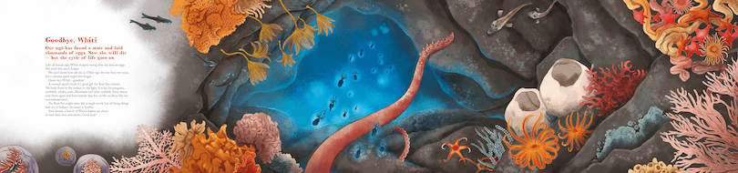 A spread from a picture book showing the death of a colossal squid: one tentacle waving up from the depths as the creature sinks