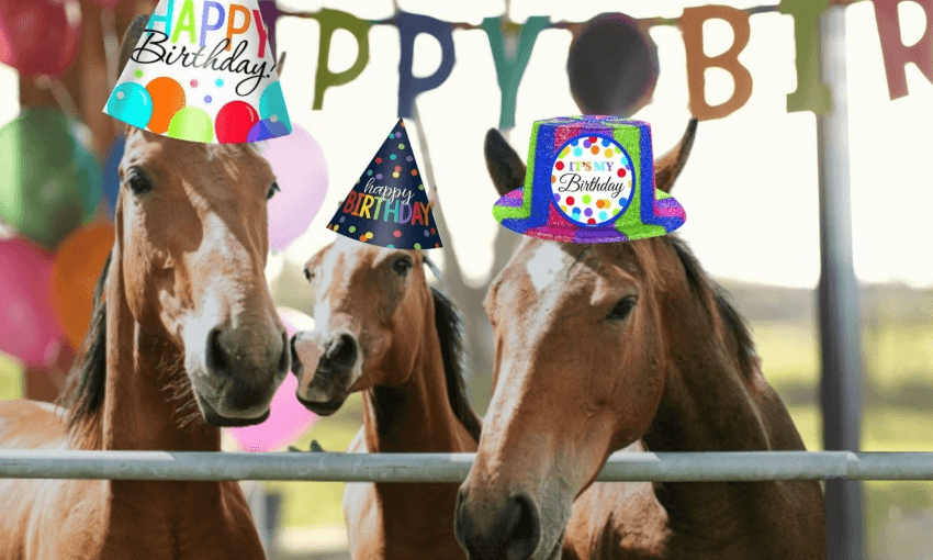 All thoroughbred horses in the southern hemisphere had a birthday on Sunday The Spinoff
