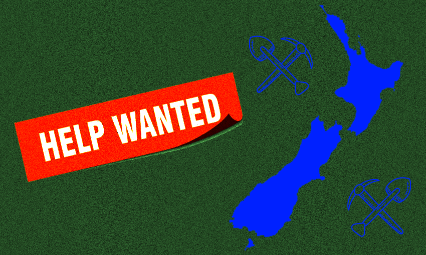 There are reports of labour shortages across New Zealand. 
