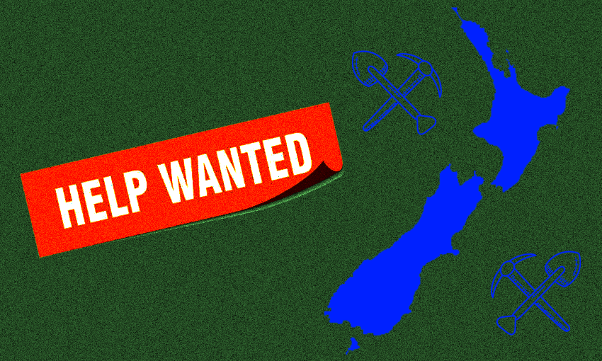 There are reports of labour shortages across New Zealand.