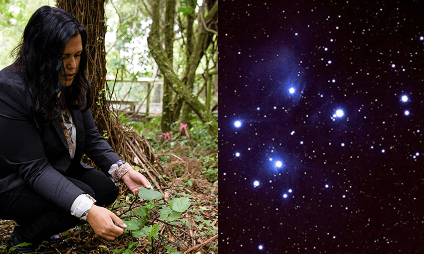 Dr Pauline Harris and the stars of Matariki (Photo: Supplied) 
