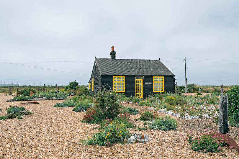 Striking black cottage with bright yellow trim. On a pebbled landscape, a garden of wildflowers. 
