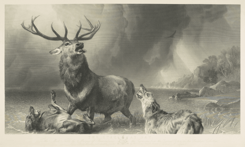 Edwin Landseer’s Stag at Bay 
