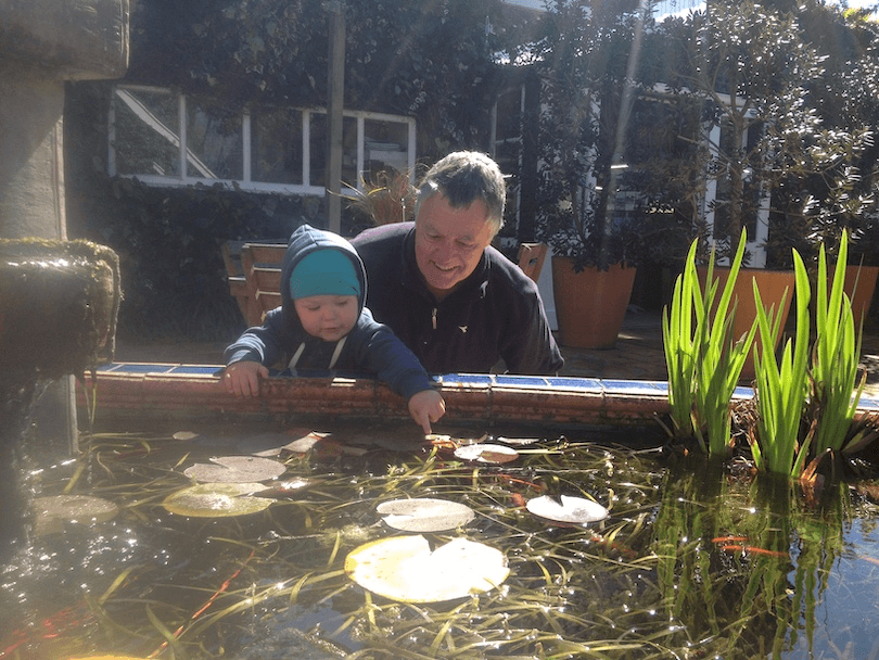 A middle-aged man crouches down close to a toddler, both transfixed by a fishpond. The man is delighted. 