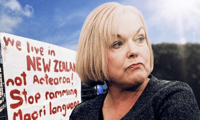 (Image: RNZ/Vinay Ranchhod) 
