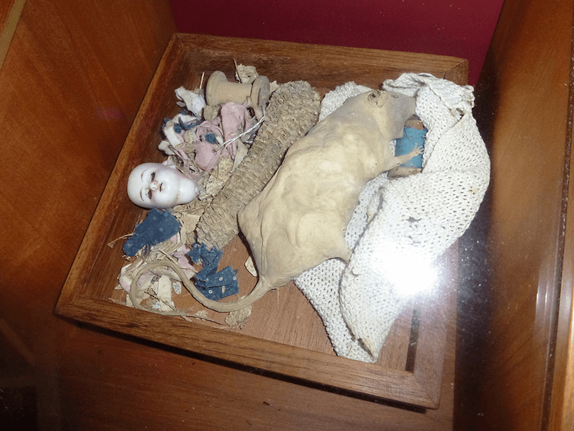 Horrific nightmare image of a mummified rate in a drawer that also inexplicably contains a doll's head