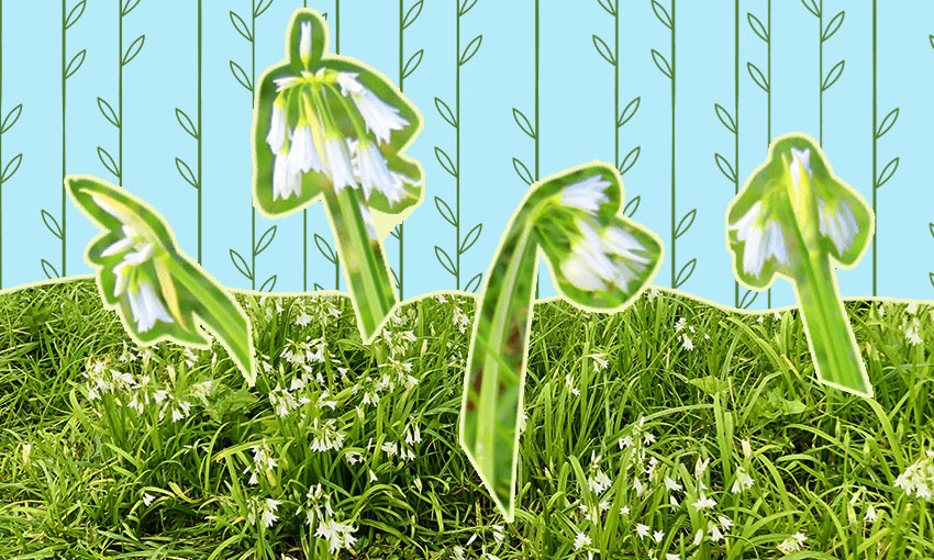 (Image: Alessandra Banal) 
