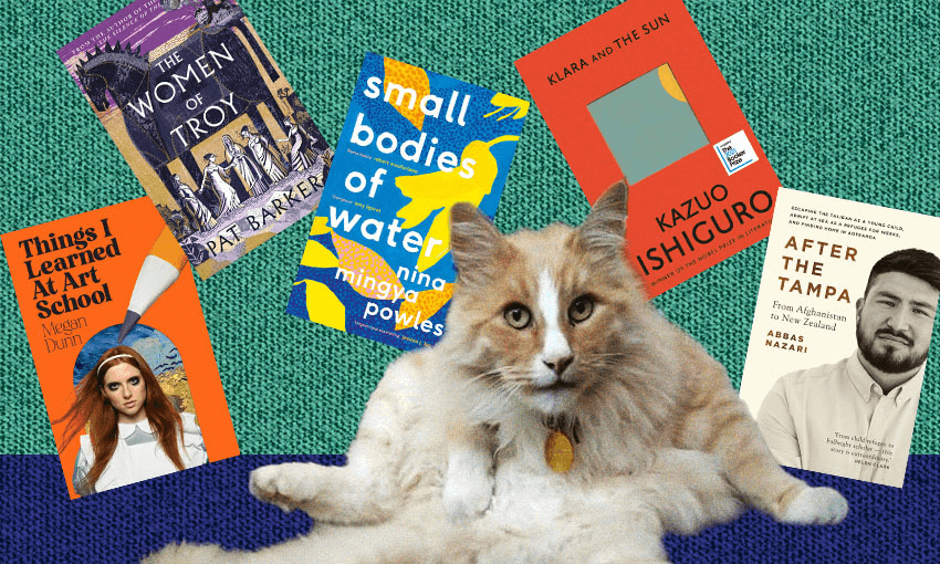 Mittens the cat surrounded by some of his favourite reads 
