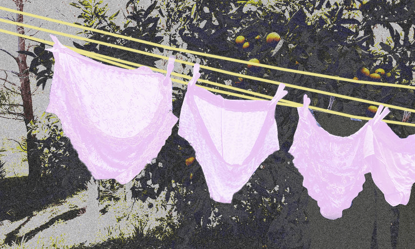 Knickers hanging on a washing line, lemon tree in background. Knickers have been coloured in light pink.