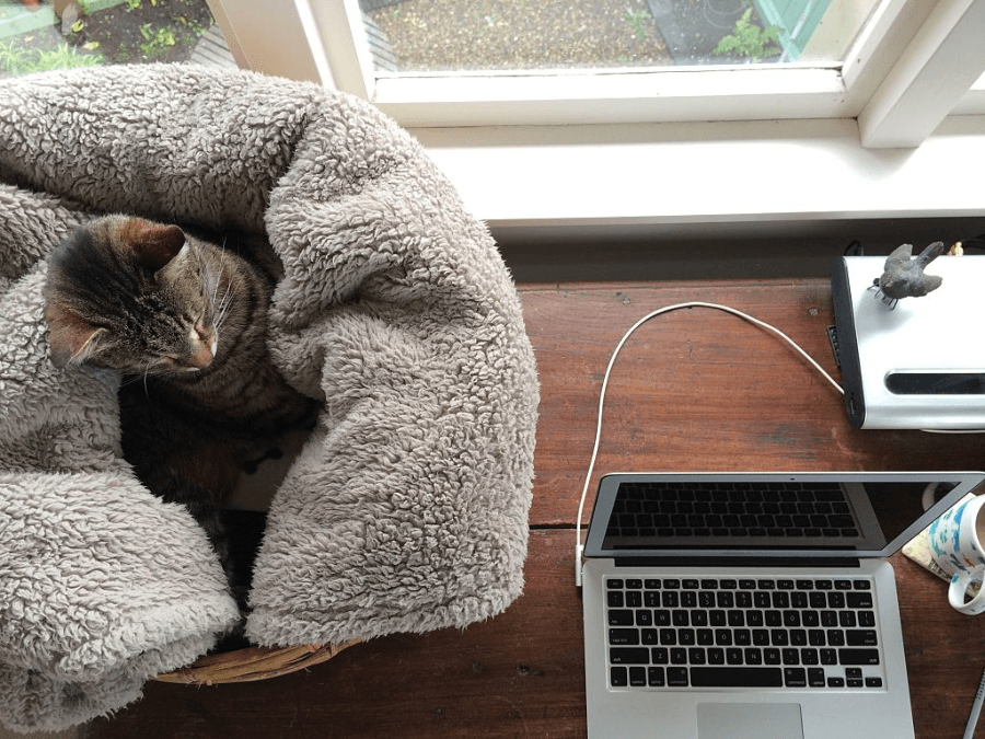 Working from home set-up