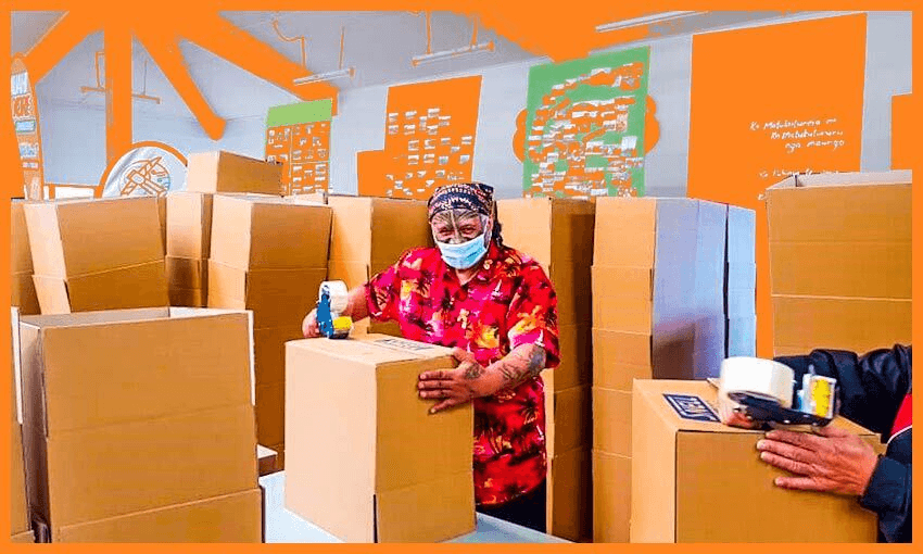 Papa Rangi McLean (Photo: Te Kaha O Te Rangatahi Indigenous Youth Hub)