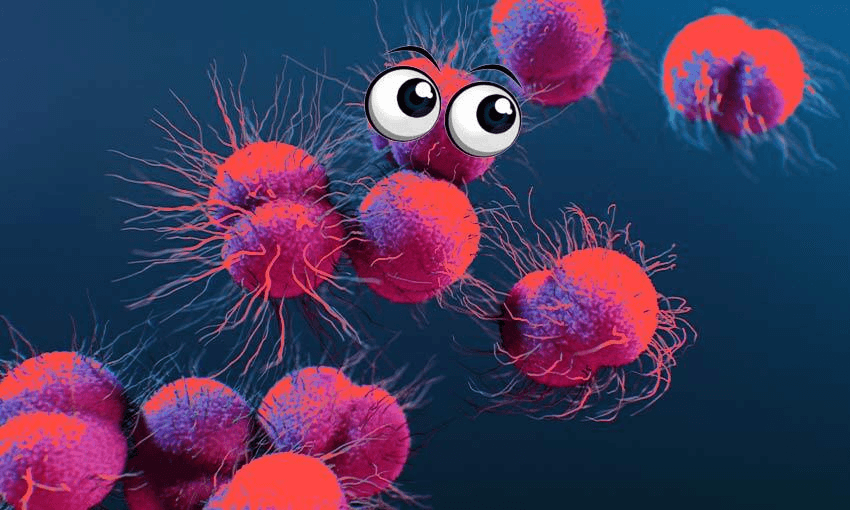 Original image: an illustration of the Neisseria gonorrhoeae bacteria (Image: Getty Images; additioal design: Tina Tiller) 
