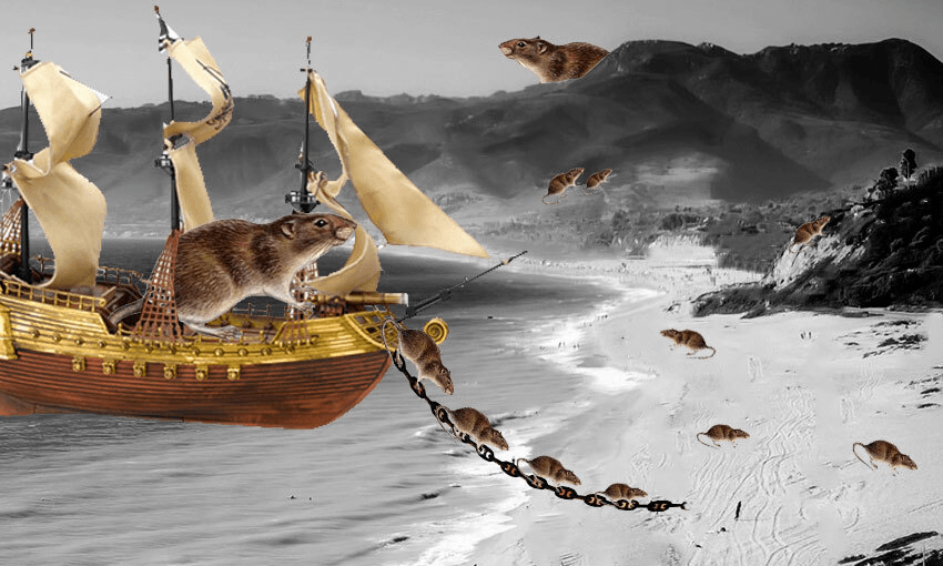 A depiction of rats streaming off a ship in New Zealand