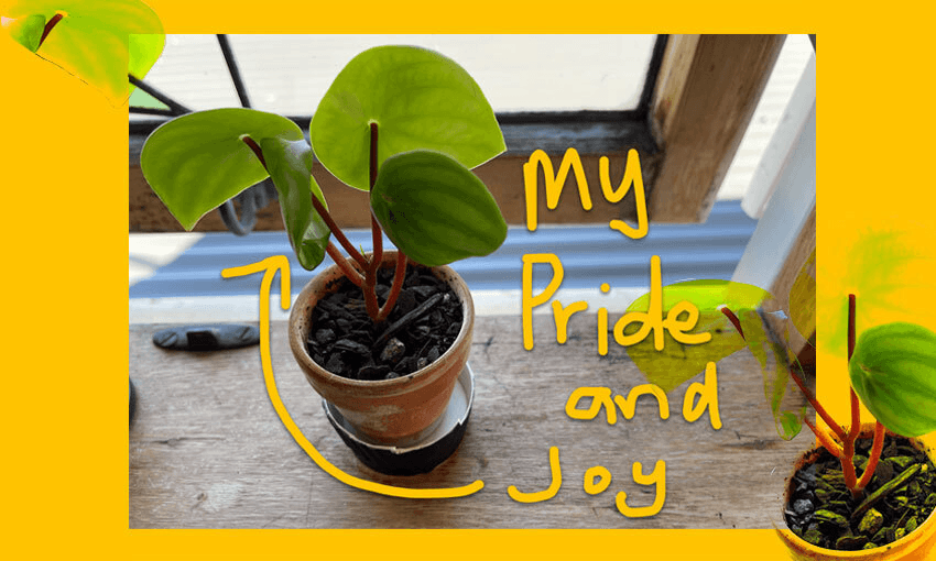 How to connect with nature if you are a lazy person