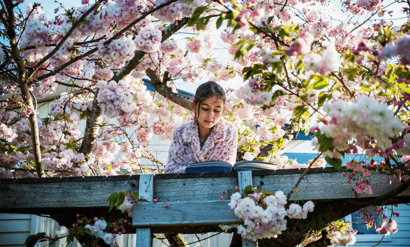 A young girl reads a book in a treehouse built in a flowering cherry tree – clouds of pink blossom around her.