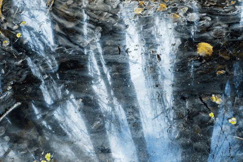Photograph of a creek or a deep puddle: still, dark water with leaves floating on it, and reflections of long tall tree trunks. 