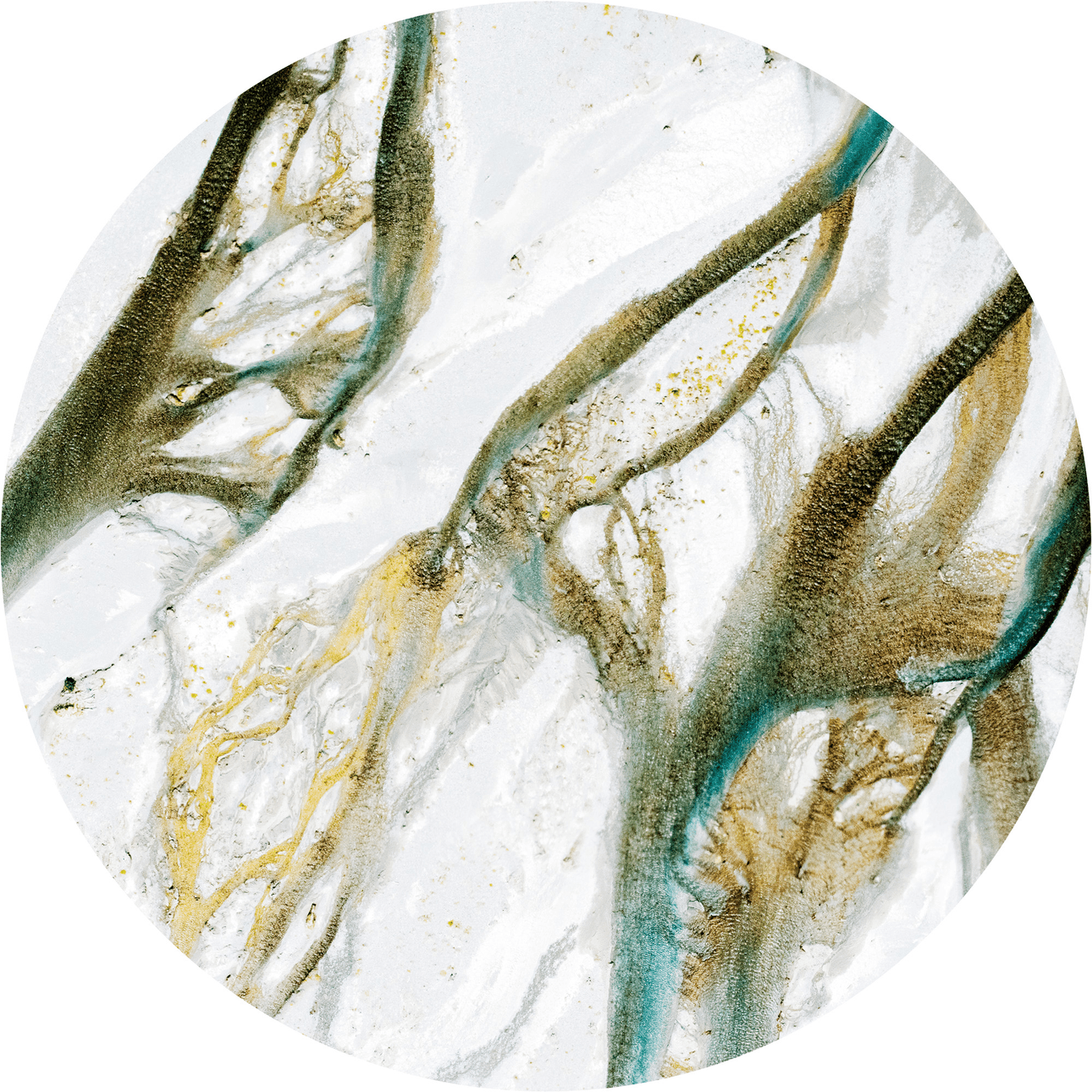 Circular photograph that looks like abstract art – a white sandy surface with tendrils of brown and dark turquoise tangling over it. 