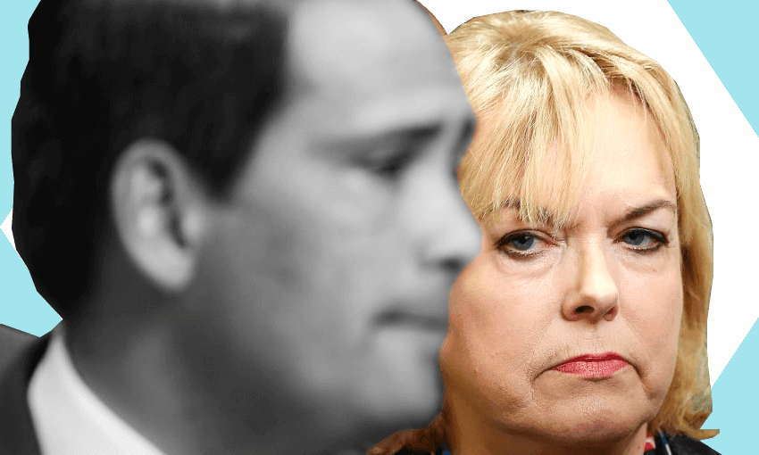 Judith Collins has demoted Simon Bridges after what she called ‘an allegation of serious misconduct’. Photo: Hagen Hopkins / Getty Images/Tina Tiller 
