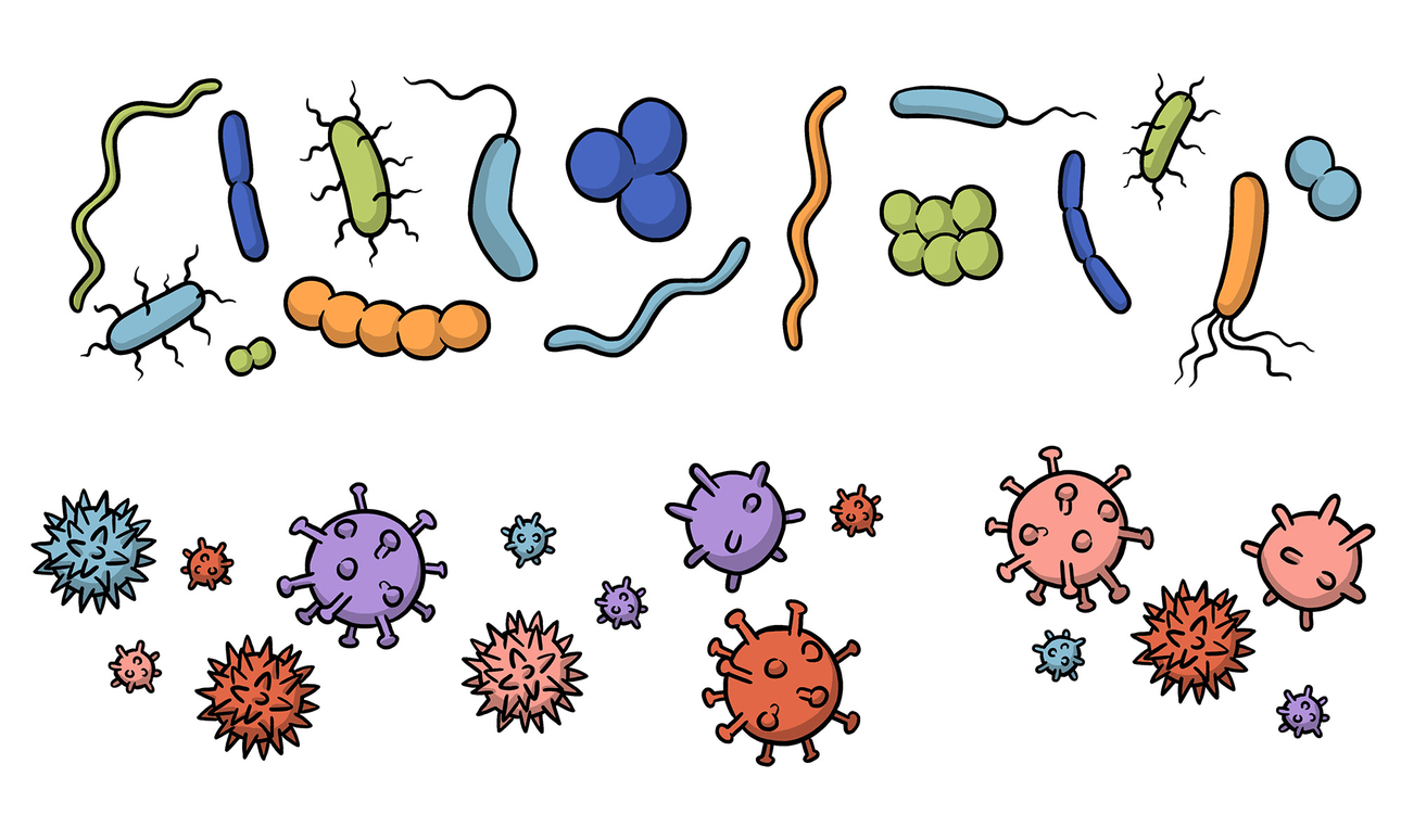 Three things to know about antibiotics header