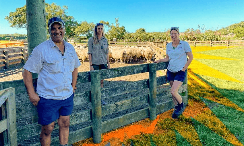 Peter Latif, Maddie White and Janine Nillesen of Ambury Farm (Photo: Supplied, additional design by Tina Tiller) 
