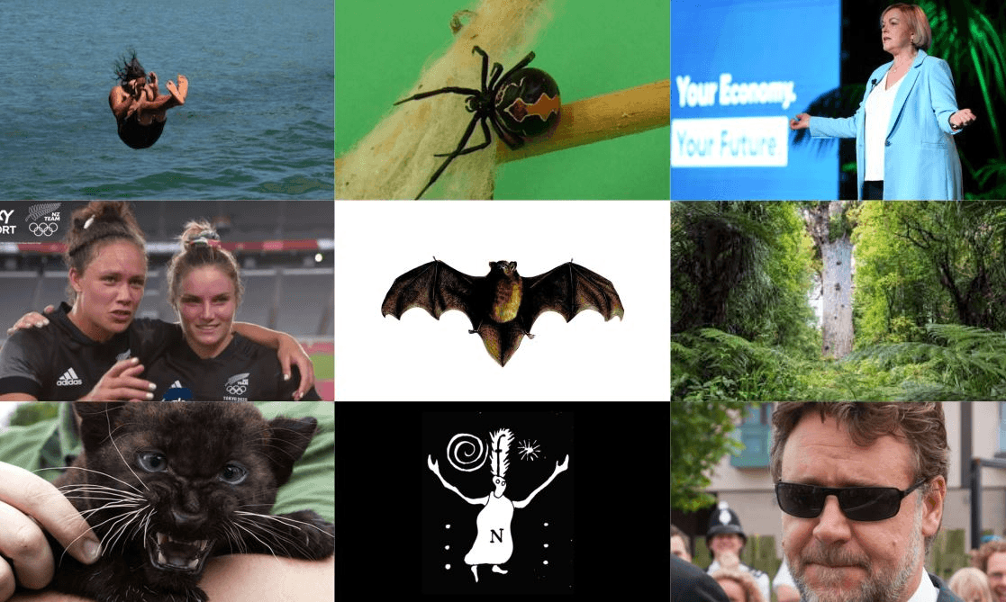 Or, none of these, and make Bird of the Year the ineffable feeling upon watching the sun dip over the horizon.