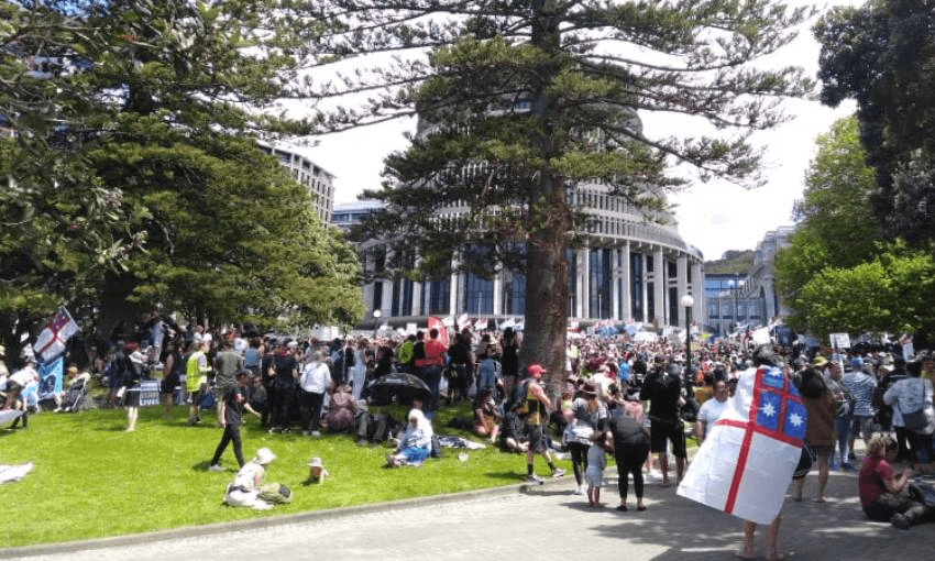 Freedom rally at Parliament. (Image / Josie Adams) 

