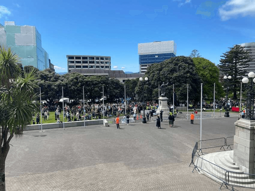 Protesters at parliament 