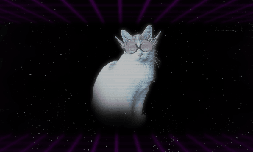 Why is the internet so obsessed with cats?