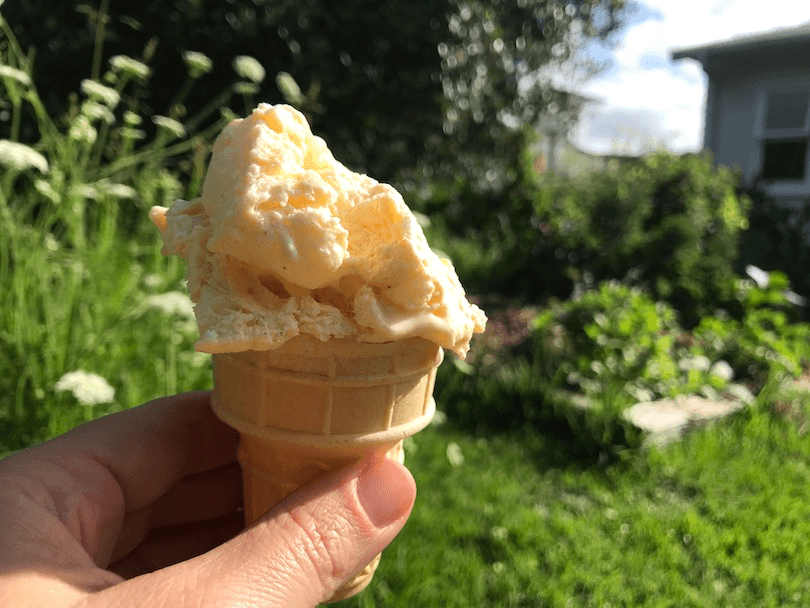 Ice cream in a cup cone in the foreground, background is a verdant green garden. 